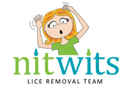 nitwits-thumb